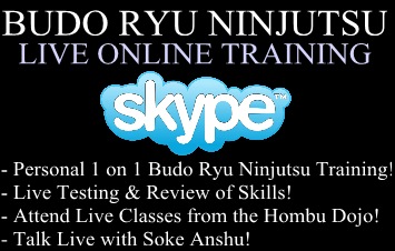 Ninjutsu Online
