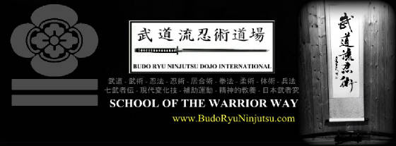Budo Ryu Ninjutsu
