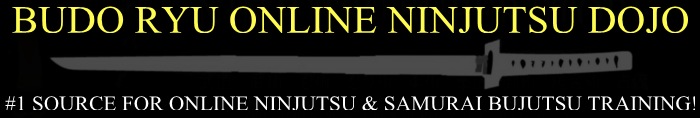 Online Ninjutsu Training