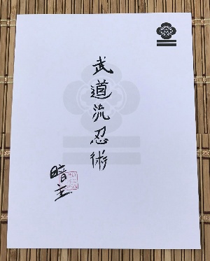 Calligraphy: Budo Ryu Ninjutsu