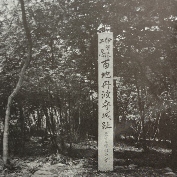 Historical Ninjutsu