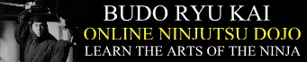 Ninjutsu Online Dojo