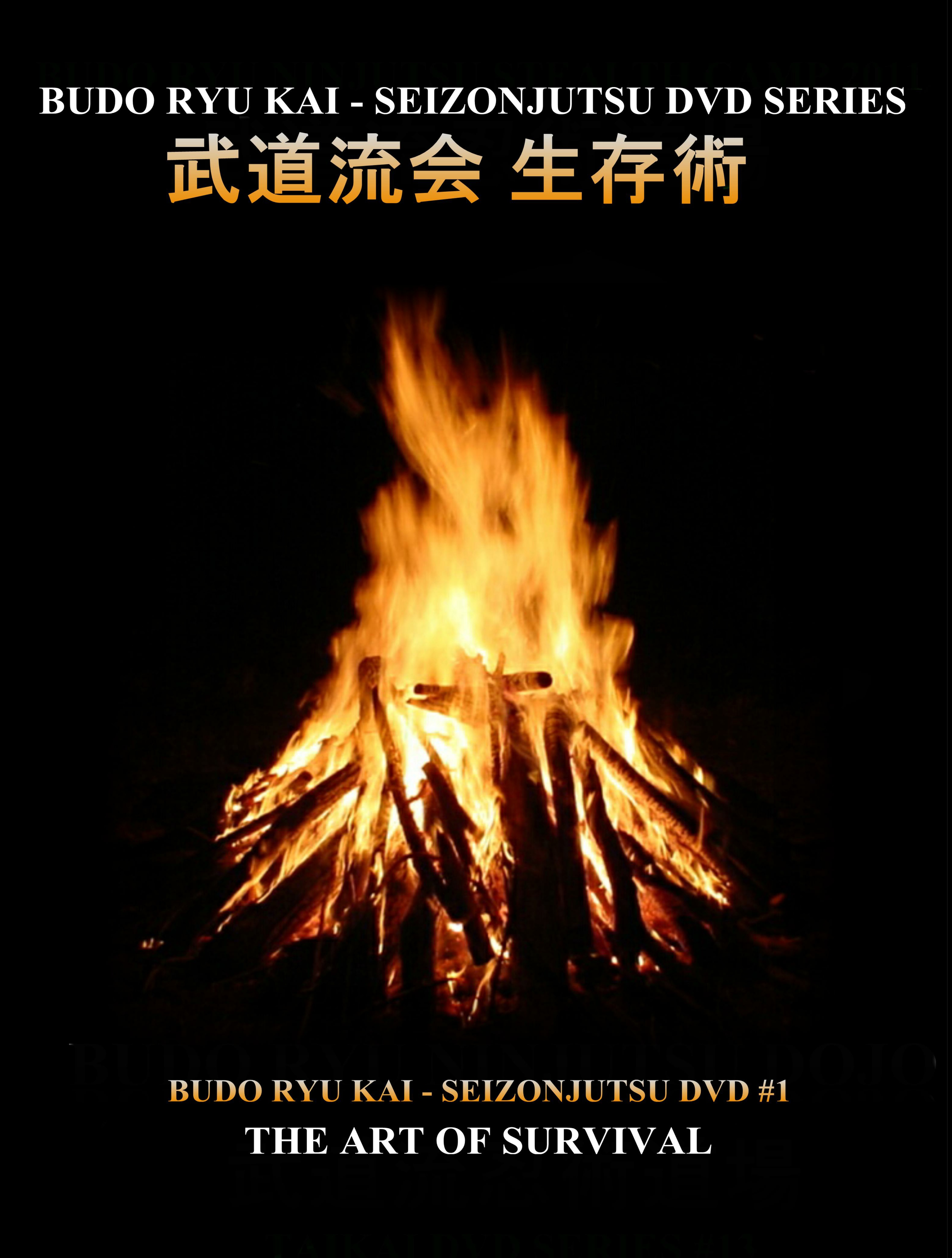 Budo Ryu Kai Seizonjutsu DVD