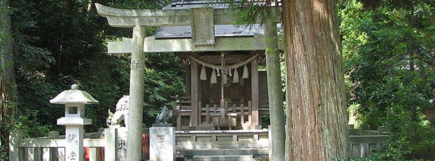 Tomo Ryu Shinobijutsu (Ninjutsu) History Tradition