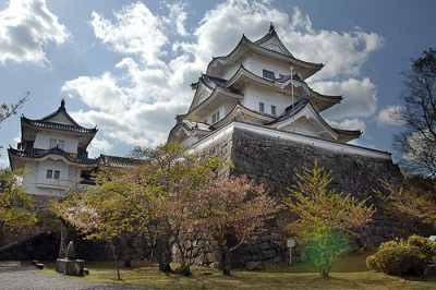 Iga Ueno Castle